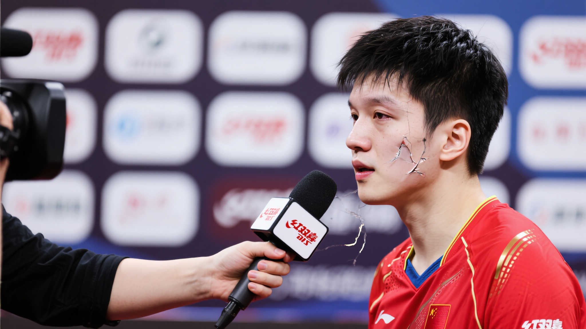 球队的整体 球队的整体